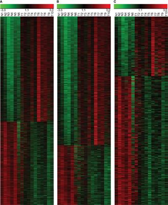 Construction of a lncRNA–mRNA Co-Expression Network for Nasopharyngeal Carcinoma